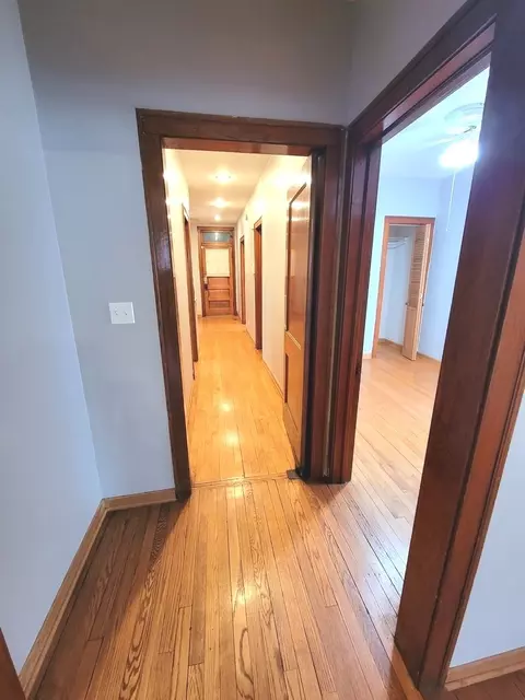 3017 N Gresham Ave, Chicago, IL 60618 photo 5