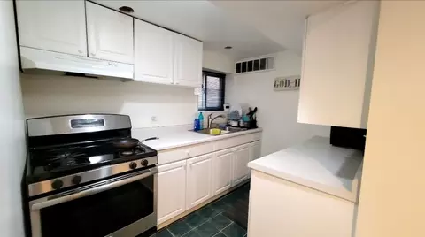3017 N Gresham Ave, Chicago, IL 60618 photo 42