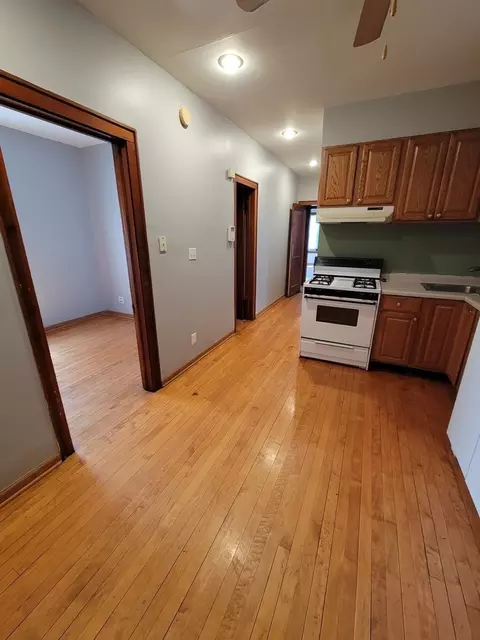 3017 N Gresham Ave, Chicago, IL 60618 photo 12