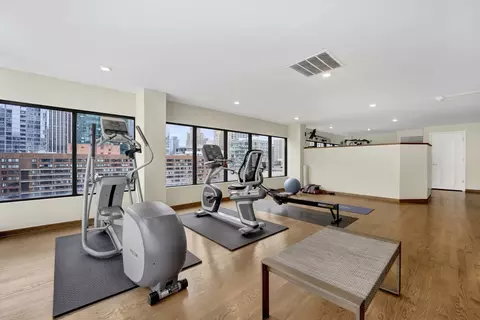 230 E Ontario St #901, Chicago, IL 60611 photo 14