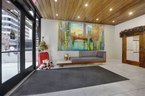230 E Ontario St #901, Chicago, IL 60611 photo 2