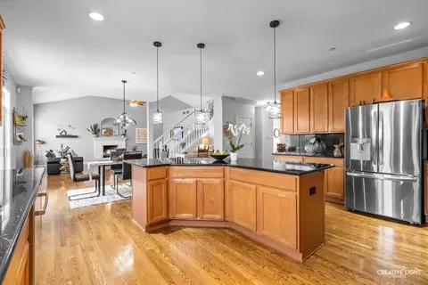5425 Nicholson Dr, Hoffman Estates, IL 60192 photo 13