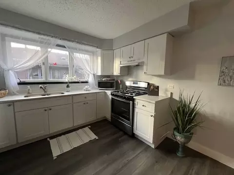 Kitchen - 462 E Lorraine Ave, Addison, IL 60101 photo 3 of 4