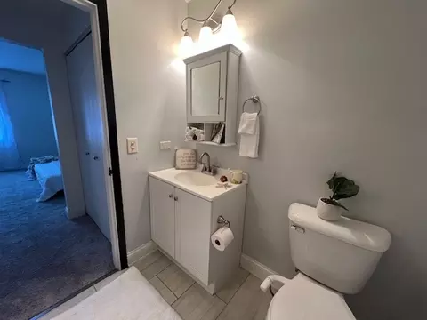 Bath - 462 E Lorraine Ave, Addison, IL 60101 photo 3 of 3