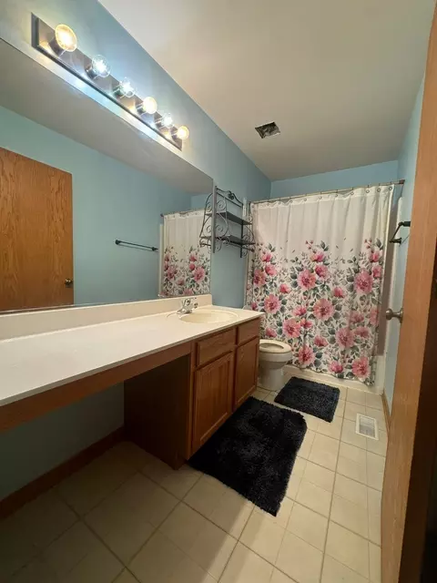 Bath - 21431 Franklin Cir, Plainfield, IL 60544 photo 2 of 4