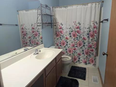 Bath - 21431 Franklin Cir, Plainfield, IL 60544 photo 3 of 4