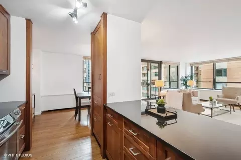 222 E Pearson St #701, Chicago, IL 60611 photo 10