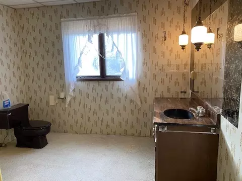 316 Marquette St, Spring Valley, IL 61362 photo 17