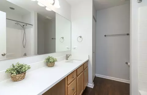 24164 Pear Tree Ct, Plainfield, IL 60585 photo 12