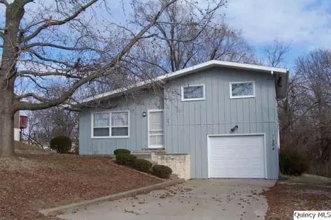 304 Constantz Dr, Canton, MO 63435 photo 1
