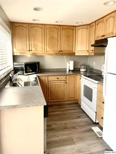 138 E Church St, Mendon, IL 62351 photo 9