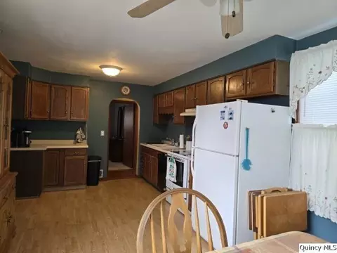 241 Cherry St, Carthage, IL 62321 photo 11