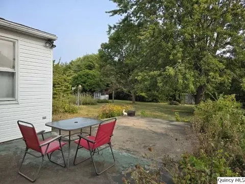 241 Cherry St, Carthage, IL 62321 photo 23