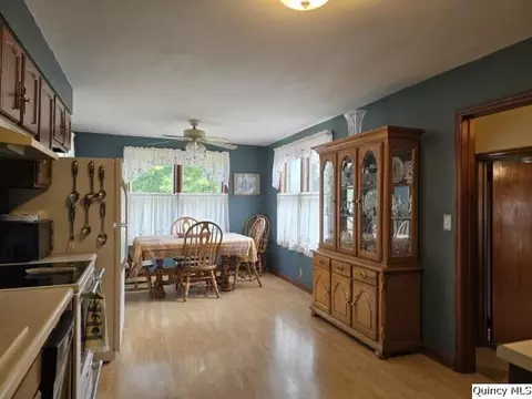 241 Cherry St, Carthage, IL 62321 photo 9