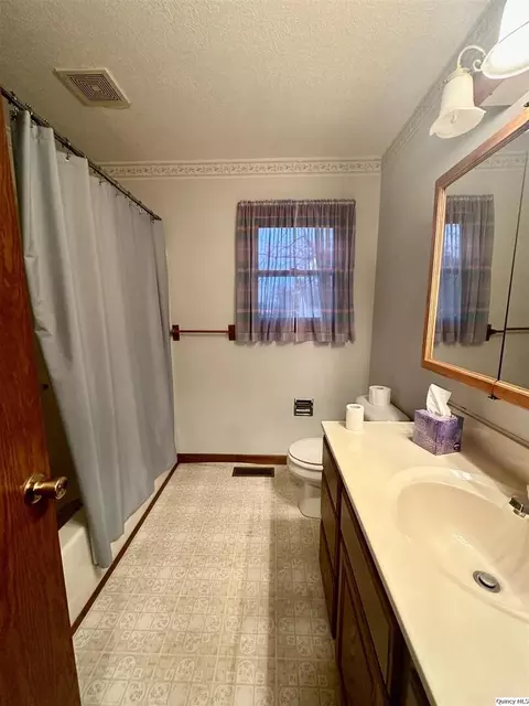 605 E Green St, Augusta, IL 62311 photo 8