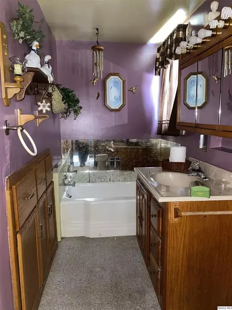 209 E Main, Ripley, IL 62353 photo 13