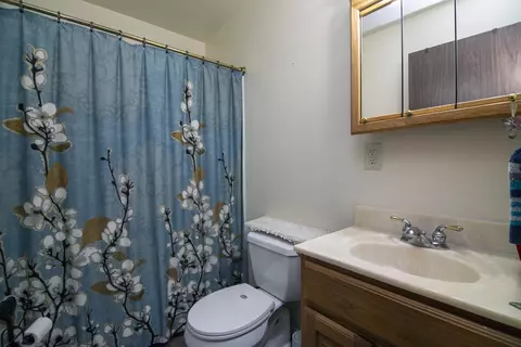 418 S Second St, Peotone, IL 60468 photo 5