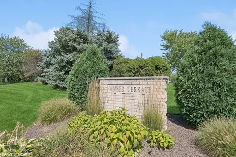 Other - 1129 Amber Dr, Lemont, IL 60439 photo 1 of 6