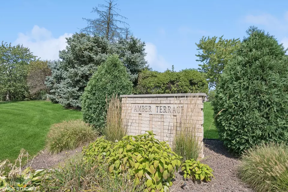 Other - 1129 Amber Dr, Lemont, IL 60439 photo 1 of 6