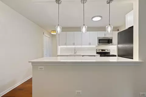 222 E Pearson St #504, Chicago, IL 60611 photo 7