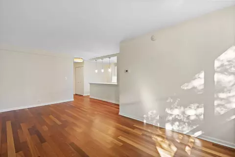 222 E Pearson St #504, Chicago, IL 60611 photo 11