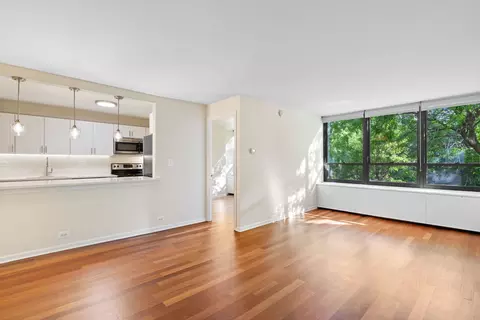 222 E Pearson St #504, Chicago, IL 60611 photo 10