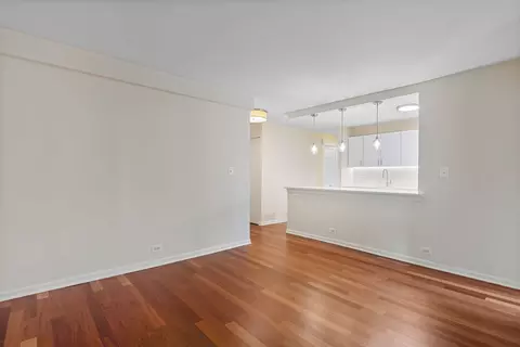 222 E Pearson St #504, Chicago, IL 60611 photo 12