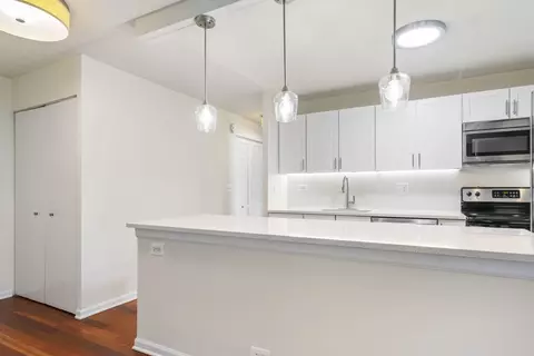 222 E Pearson St #504, Chicago, IL 60611 photo 8