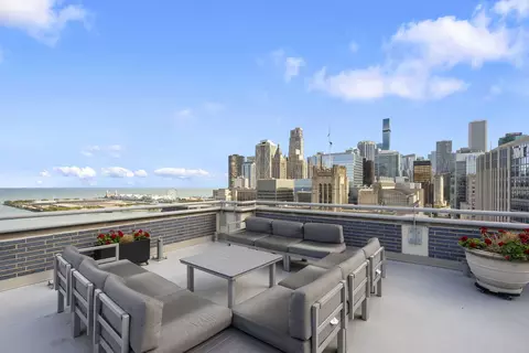222 E Pearson St #504, Chicago, IL 60611 photo 25