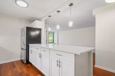 222 E Pearson St #504, Chicago, IL 60611 photo 5