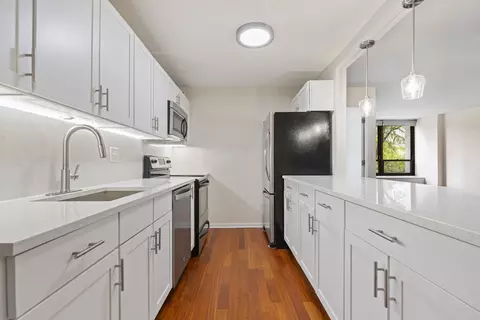 222 E Pearson St #504, Chicago, IL 60611 photo 3