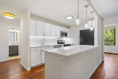 222 E Pearson St #504, Chicago, IL 60611 photo 2