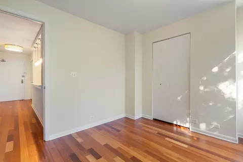 222 E Pearson St #504, Chicago, IL 60611 photo 19