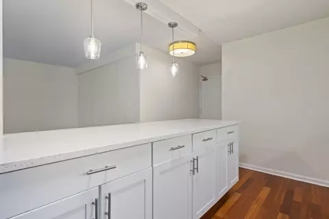 222 E Pearson St #504, Chicago, IL 60611 photo 6