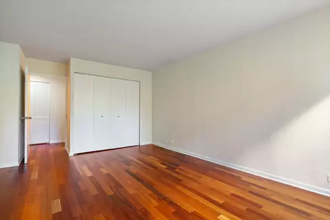 222 E Pearson St #504, Chicago, IL 60611 photo 16