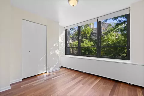 222 E Pearson St #504, Chicago, IL 60611 photo 18