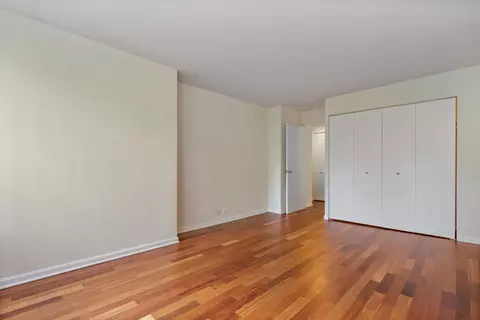 222 E Pearson St #504, Chicago, IL 60611 photo 15