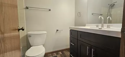 Bath - 903 Willowbrook Dr, Wheeling, IL 60090 photo 3 of 4