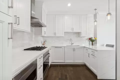 Kitchen - 10 E Delaware Pl #16E, Chicago, IL 60611 photo 2 of 3