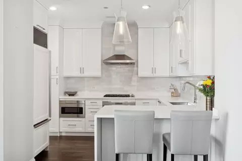 Kitchen - 10 E Delaware Pl #16E, Chicago, IL 60611 photo 3 of 3