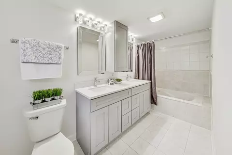 Bath - 332 Lawn Ln, Des Plaines, IL 60016 photo 1 of 4