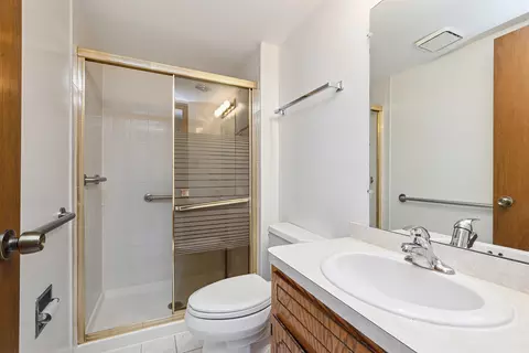 Bath - 17543 Cloverview Dr, Tinley Park, IL 60477 photo 1 of 4
