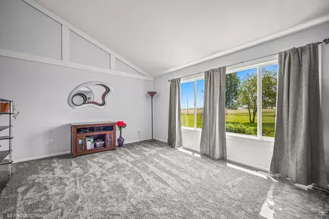 2838 W Corning Rd, Peotone, IL 60468 photo 19