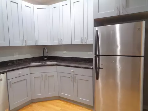 641 E Pershing Ave #101, Chicago, IL 60653 photo 6