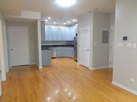 641 E Pershing Ave #101, Chicago, IL 60653 photo 5