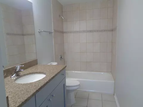 641 E Pershing Ave #101, Chicago, IL 60653 photo 13