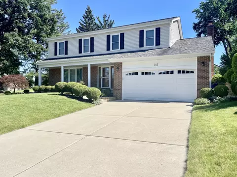 317 Forest Ln, Schaumburg, IL 60193