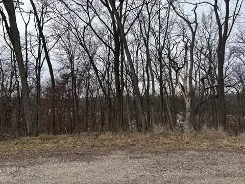 1355 Greenvalley Ct, Varna, IL 61375