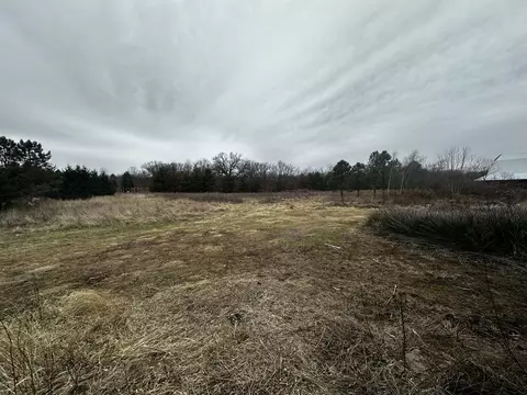 Exterior - 1242 E County Hwy 30, Danforth, IL 60930 photo 12 of 14