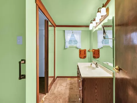 249 S Sangamon St, Bement, IL 61813 photo 22